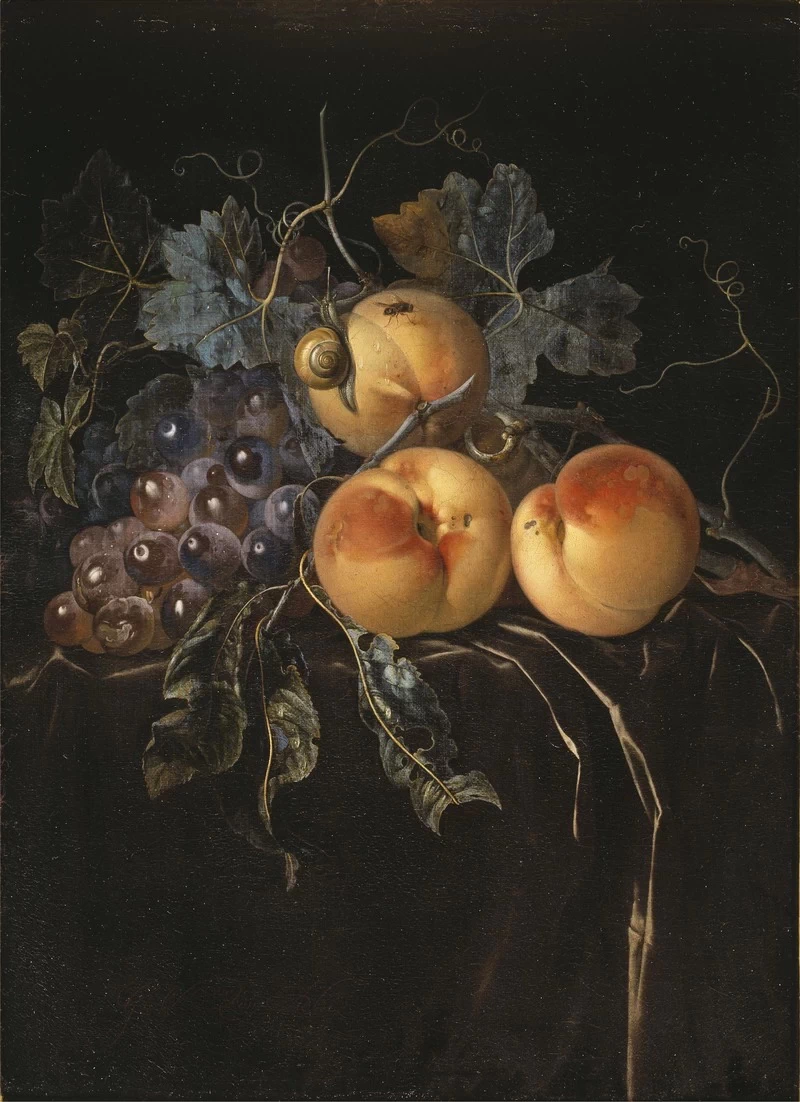 Natura morta con frutta e lumaca - Nationalmuseum